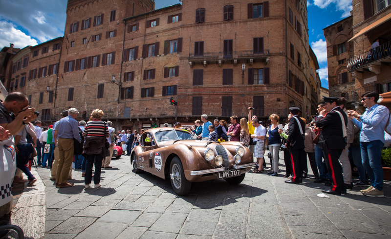 Illustration for article titled This Was Jaguar At The Mille Miglia
